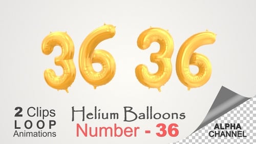Golden Number 36 Balloon Floating Loop Animation
