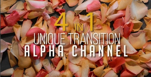 Real Romantic Rose Petals Isolated 4in1