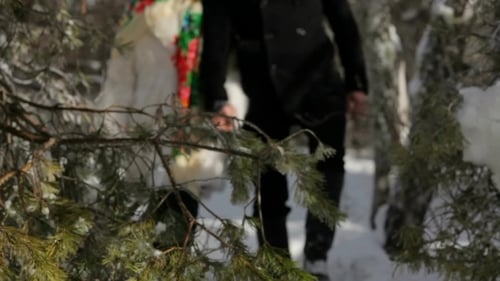 Winter Branch