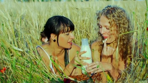 Bread And Milk