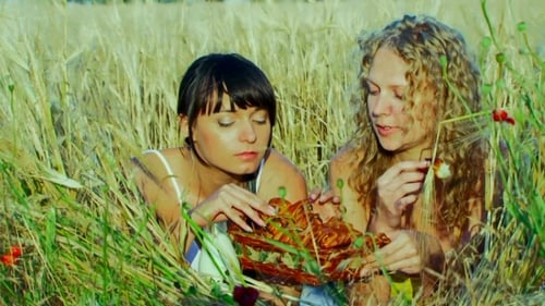 Young Women Having Picnic in Wheat Field