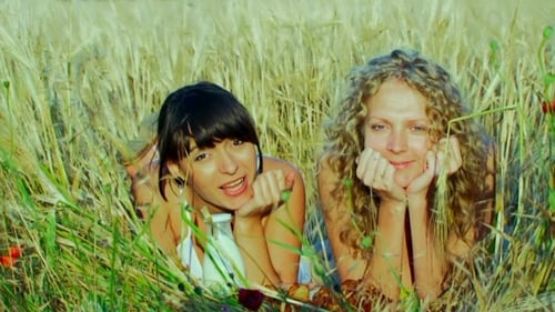 Women Friends Relaxing in Summer Wheat Field