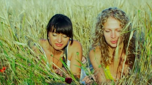 Young Women Enjoying Picnic in Sunny Wheat Field
