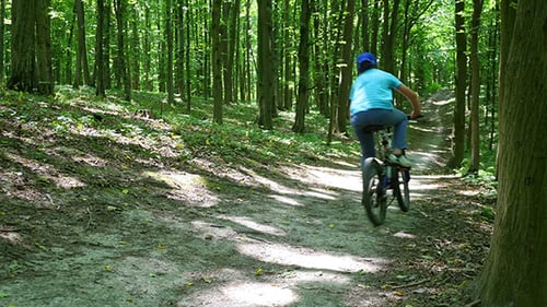 Boy Biking On Forest Trails