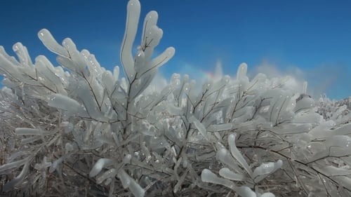 Winter Ice Blocks
