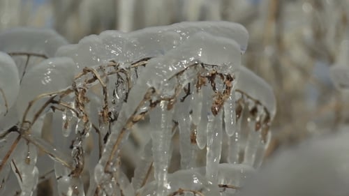 Winter Ice Blocks