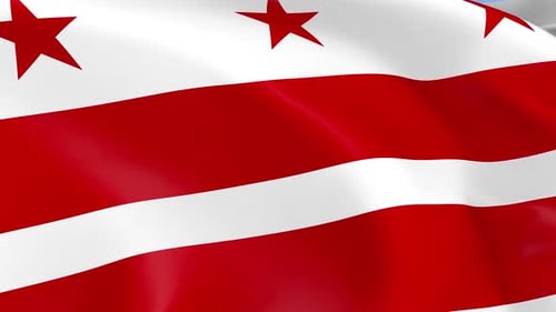 Washington D.C. Flag Waving Seamlessly