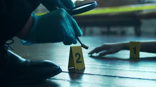 Forensic Investigator Examines Crime Scene Evidence
