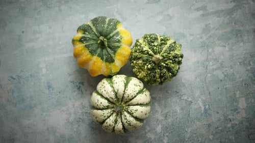 Kreative Herbstkomposition mit flacher Ansicht von oben. Kleine bunte Kürbisse auf Steinhintergrund