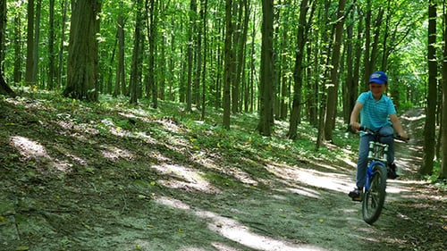 Boy Biking On Forest Trails