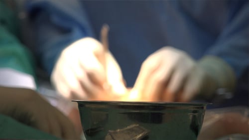 Surgery 10
