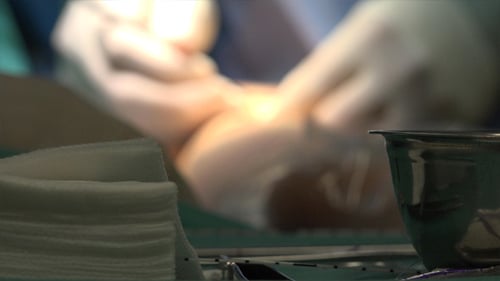 Surgery 12