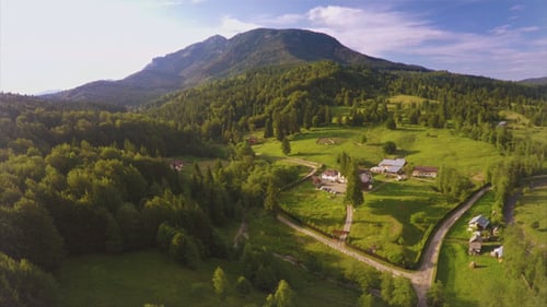 Aerial Mansion in the Woods