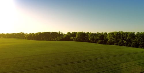 Takeoff Over Big Green Field in Evening