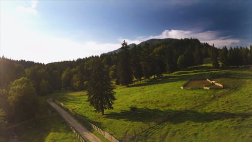 Aerial Forest Through the Hills