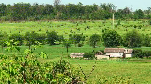 Small Farm