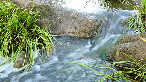 Fast Flowing River With Stones In The Water