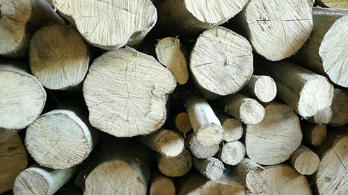 Close Up View of a Stacked Woodpile