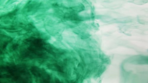 Ink clouds moving through water. White background and green
