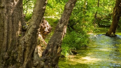 Tranquil River Flowing In Beautiful Picturesque
