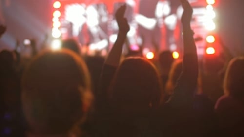 Crowd Cheering at Music Concert at Night