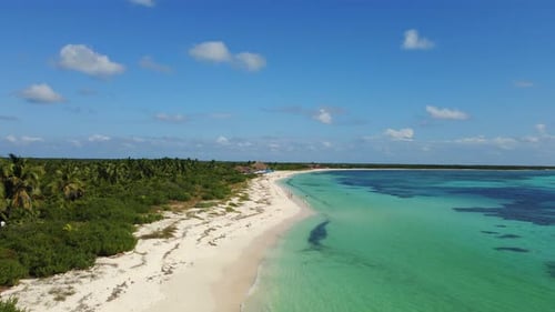 Caribbean Sea Shore with Sandy Beach