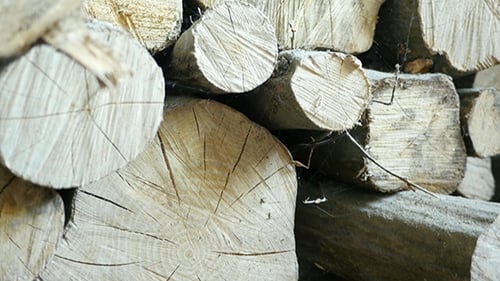 Close-up of Stacked Cut Logs