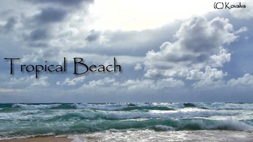 Tropischer Strand
