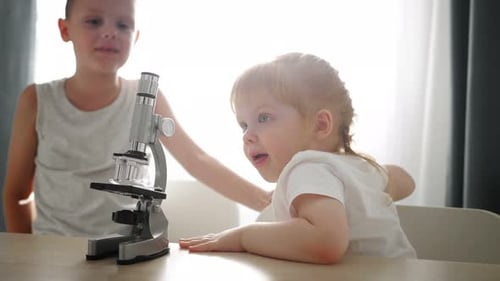 Children Study with Microscope Indoors During Daytime
