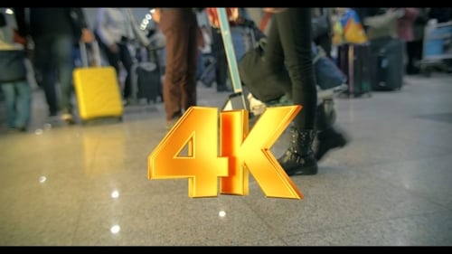 Travelers and Luggage Moving Through a Busy Airport