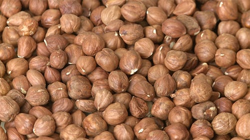 Fresh Shelled Hazelnuts Close Up