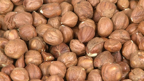 Hazelnuts Background Close-up