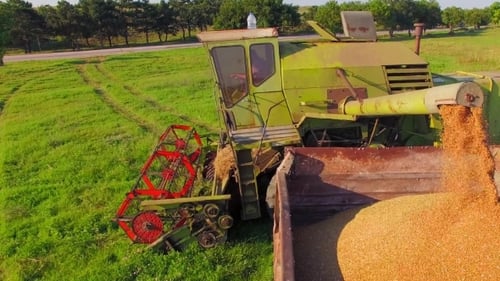 AERIAL VIEW. Loading Of Grain Of Corn In The