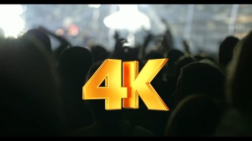 Excited Crowd Enjoys a Live Music Performance