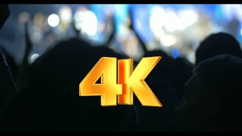 Crowd Enjoys Live Music Concert at Night