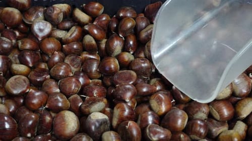 Chestnuts