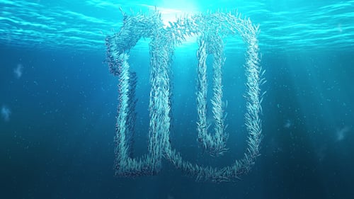 Countdown für Fische