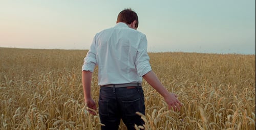 Man in the Field With Rye