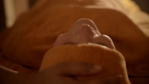 Facial Therapy With Hot Towel In Day Spa