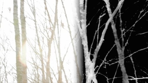 White Trees
