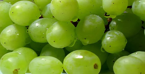 Fresh Green Grapes Close Up