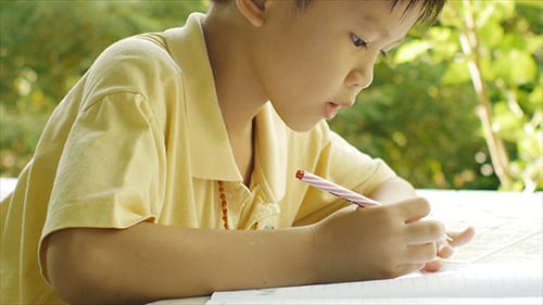Boy Concentrates on Writing in Notebook