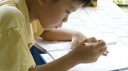 Young Boy Doing Homework 09