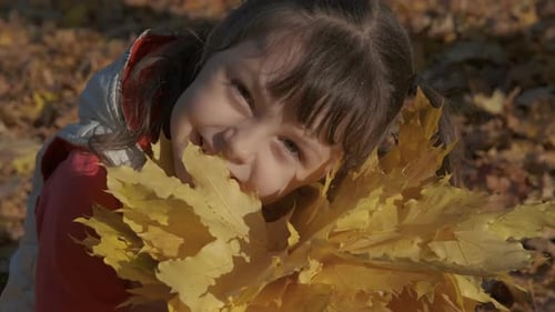 Child Smiling with Autumn Leaves in a Park