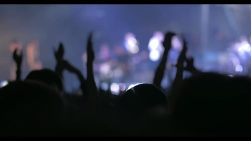 Enthusiastic Crowd Enjoying Live Music Concert at Night
