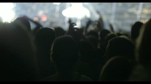 Enthusiastic Crowd Enjoying Live Music Performance at Night
