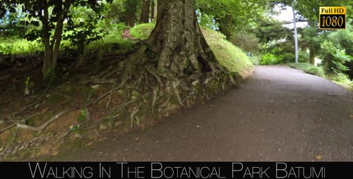 Botanical Park In Batumi 3