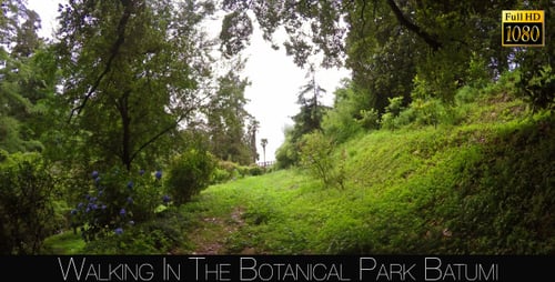 Botanical Park In Batumi 4