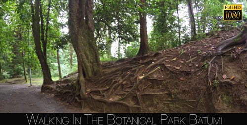 Botanical Park In Batumi 11