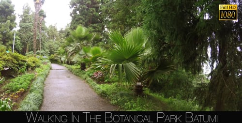 Botanical Park In Batumi 12